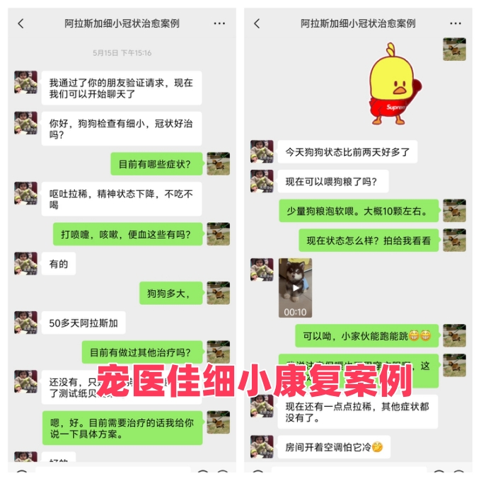治疗过程